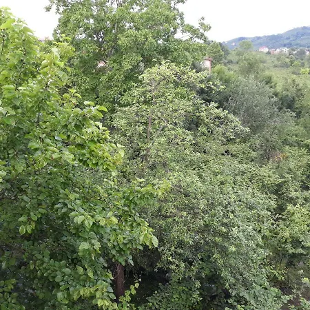 Huseyin Neziroglu Konagi Villa